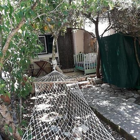 Casa Natasa Διαμέρισμα Οζιάς Εξωτερικό φωτογραφία