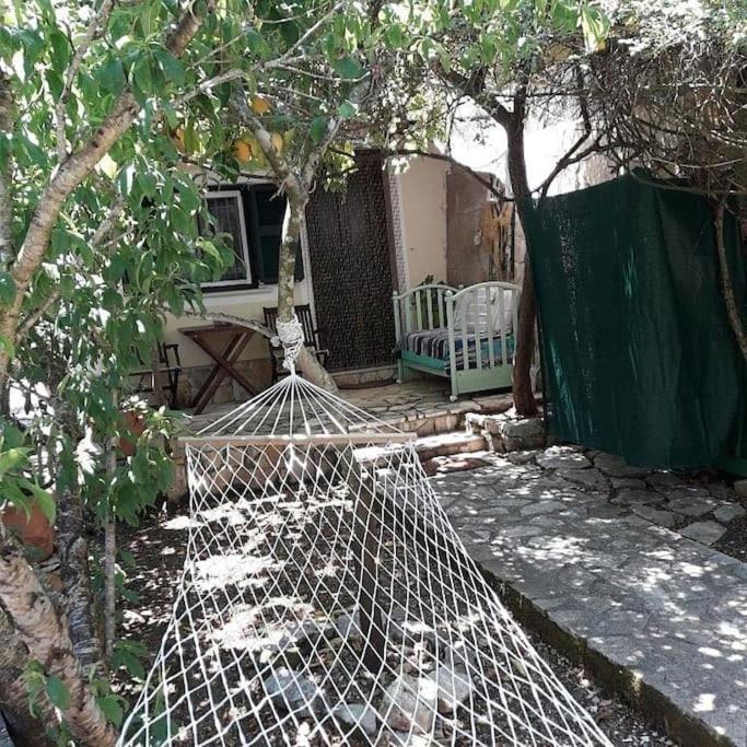Casa Natasa Διαμέρισμα Οζιάς Εξωτερικό φωτογραφία