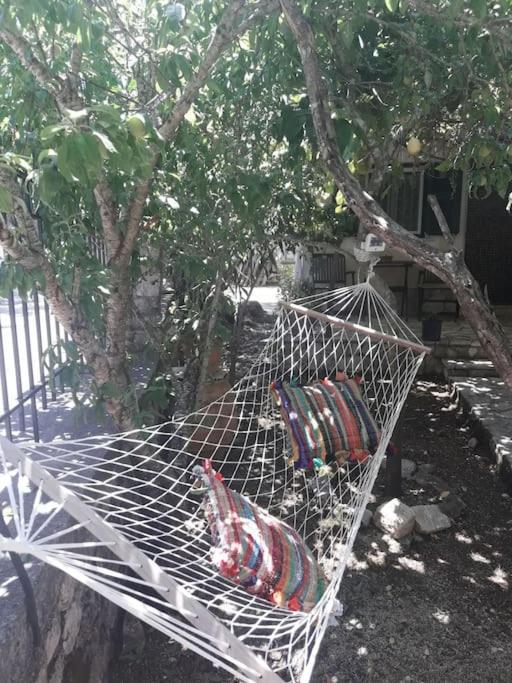 Casa Natasa Διαμέρισμα Οζιάς Εξωτερικό φωτογραφία