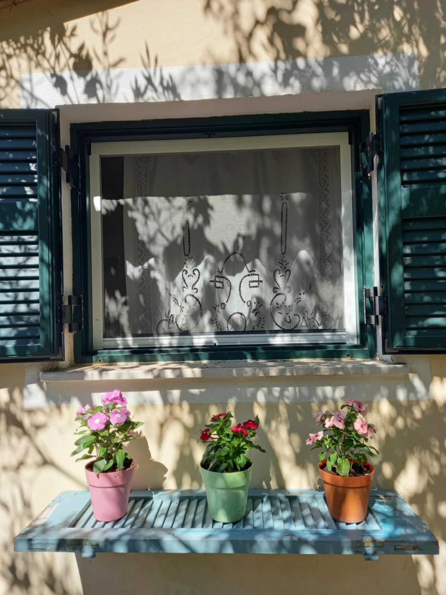 Casa Natasa Διαμέρισμα Οζιάς Δωμάτιο φωτογραφία